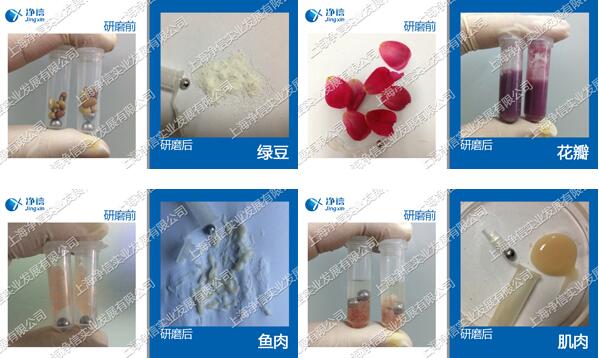 多樣品組織研磨儀樣品前處理研磨效果圖.jpg 多樣品組織研磨儀樣品前處理研磨效果圖.jpg